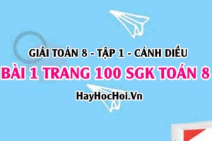 Giải bài 1 trang 100 Toán 8 Tập 1 SGK Cánh Diều